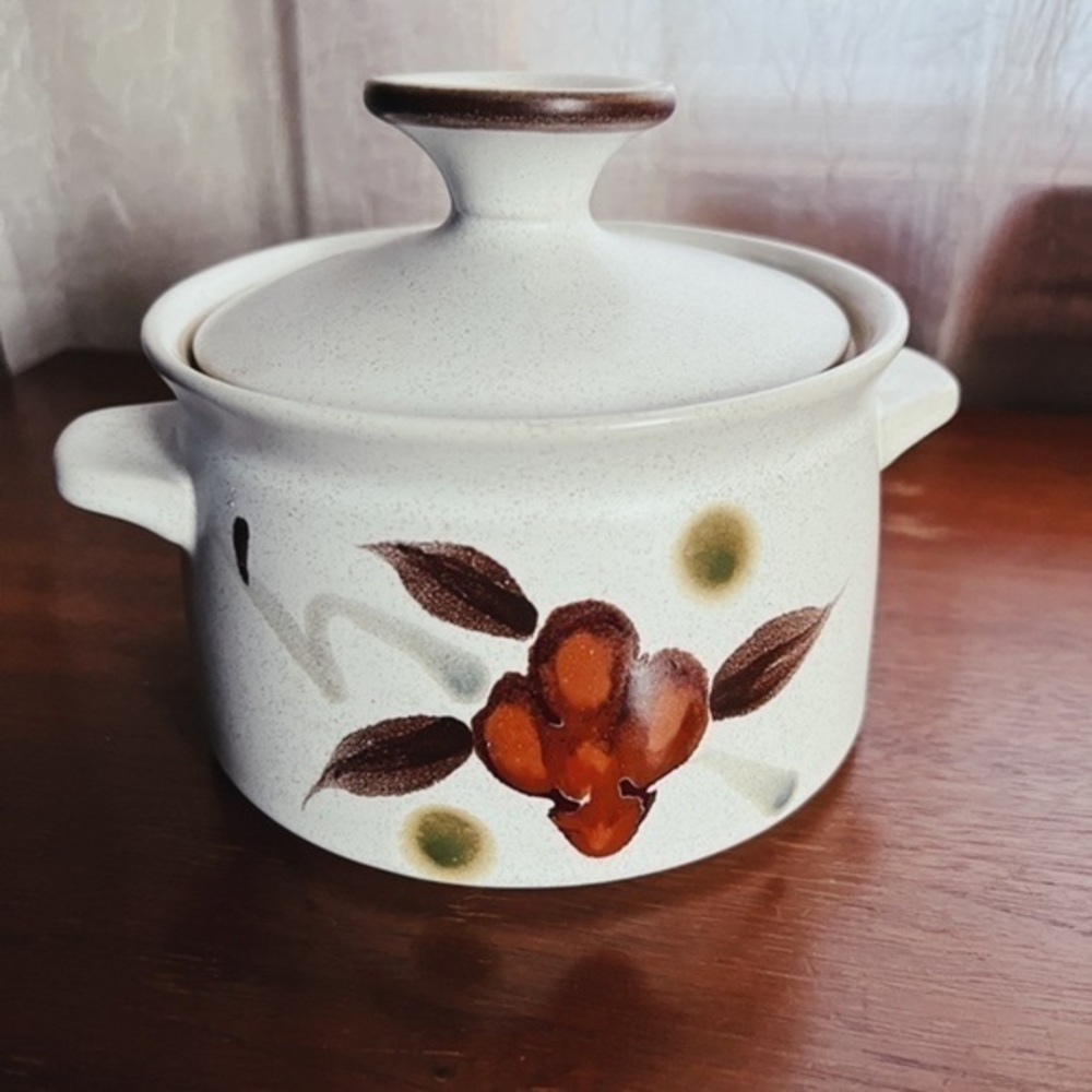 Vtg Mid-Century Noritake Orinda Stoneware